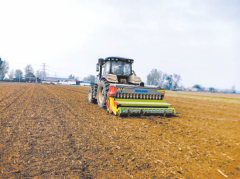 郭天财提出应出格留意以下五个环节环节：排